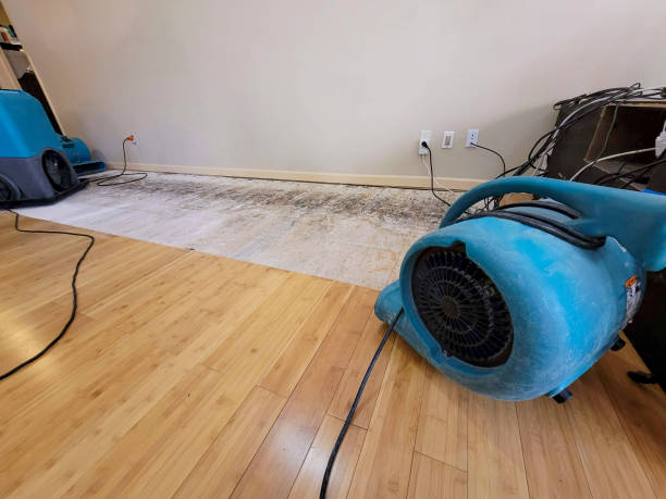 Professional Sewage Cleanup technician working in Saddle Brook, NJ